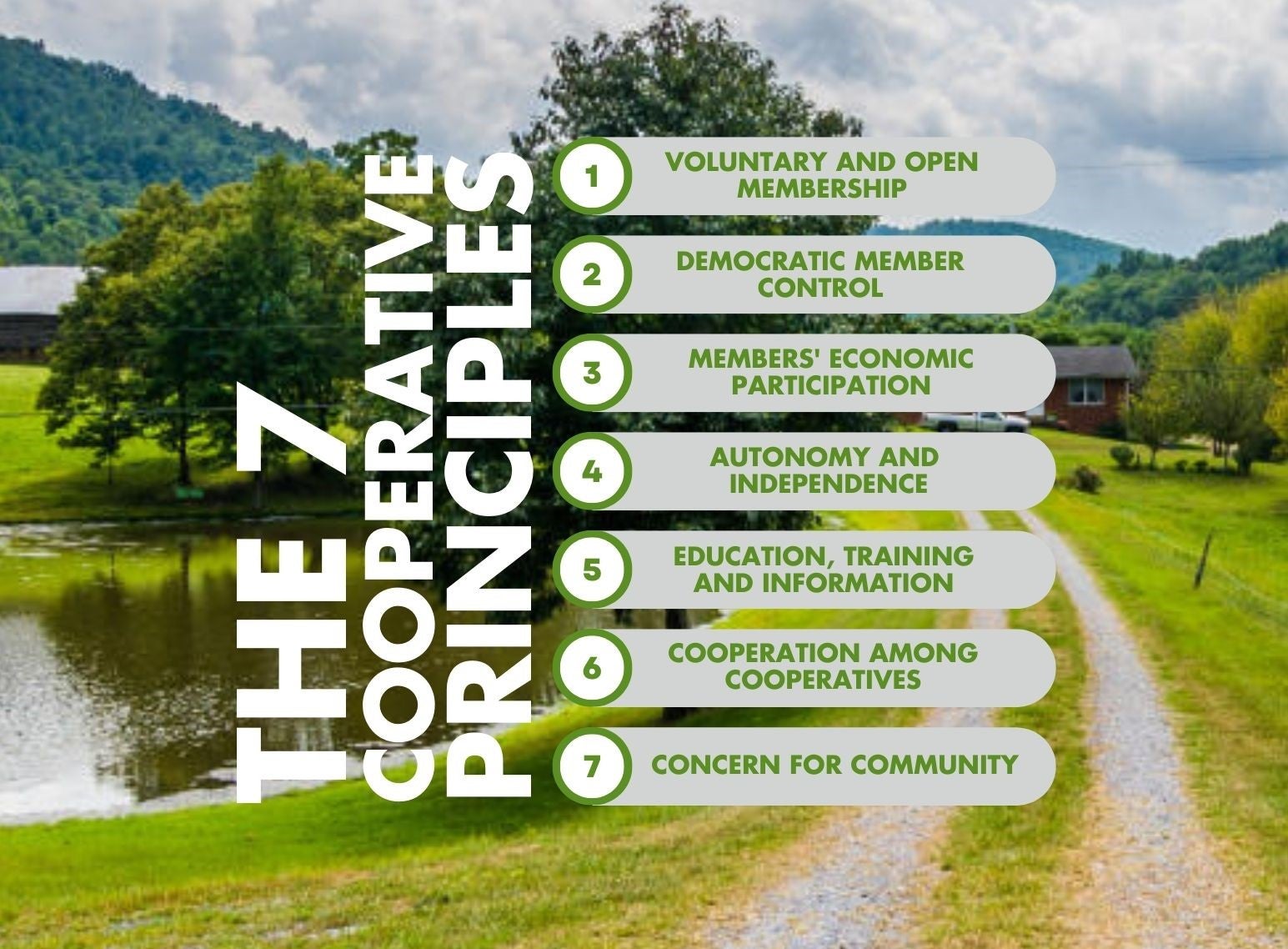 What is a Cooperative? Farm Credit of the Virginias